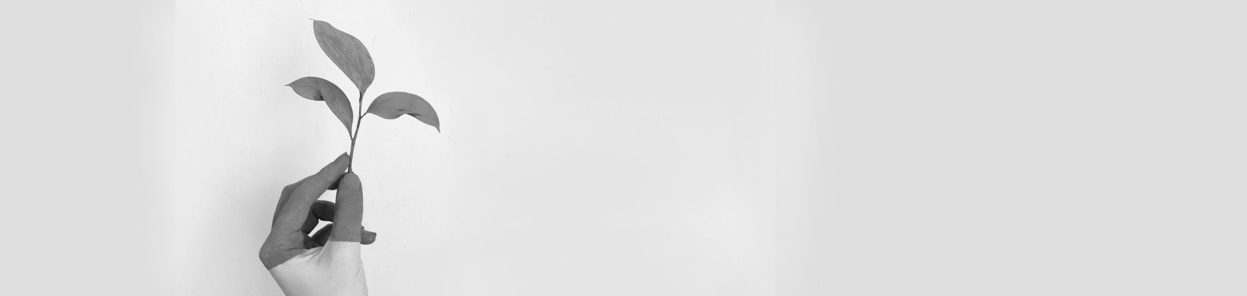 Las 20 reglas del Marketing Verde