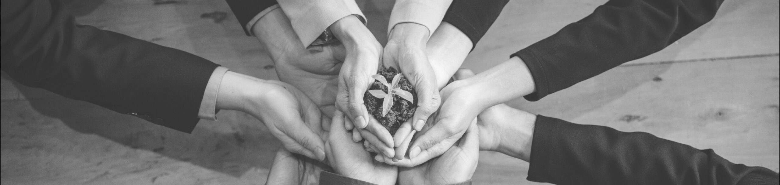 3 marcas que le apuestan a la sostenibilidad y lo que podemos aprender de su social media marketing